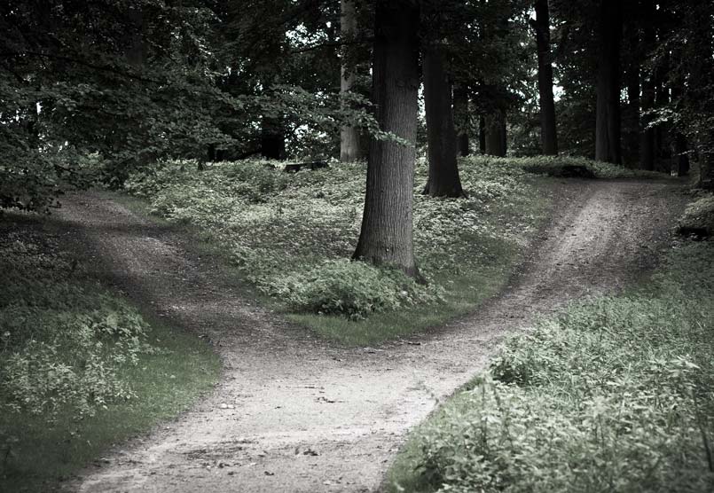PNEVMATIKH_ZWH - Crossroad.jpg